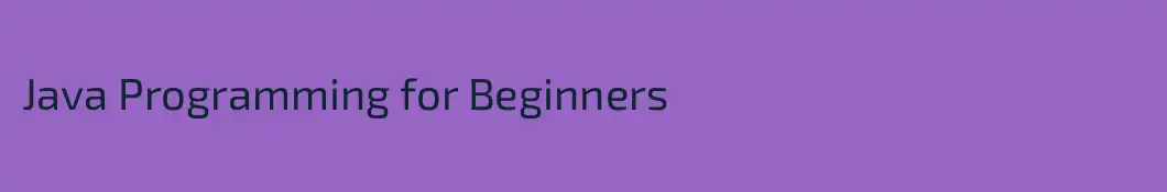 Java Programming for Beginners